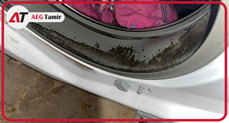 پوسیدگی یا خرابی لاستیک دور درب